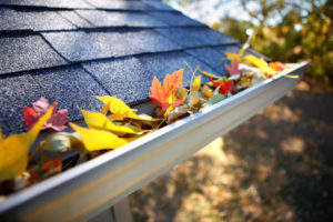 Homeowners Fall Maintenance Tips