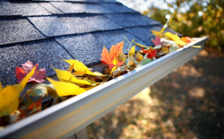 Homeowners Fall Maintenance Tips